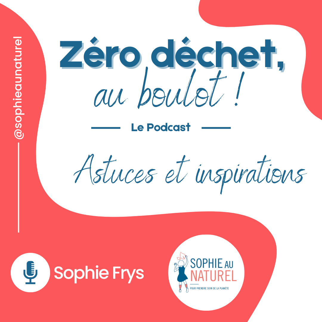 Copie de Visuel Podcast et teaser formation-sophie-frys